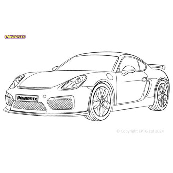 981 BOXSTER/CAYMAN (2012 - 2016)